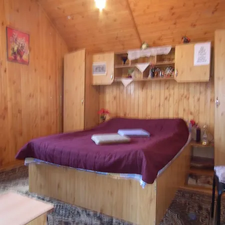 Panzió Pensiunea Ando 3*