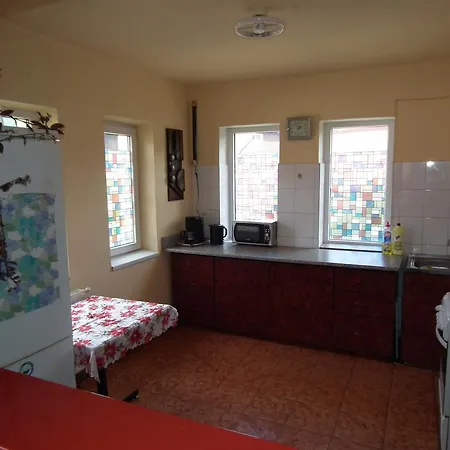 Pensiunea Ando Panzió
